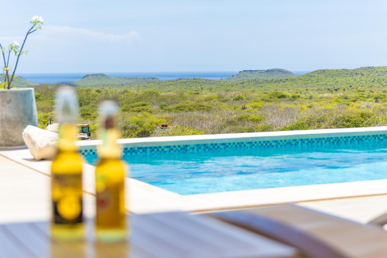 Home Private pool and green hills viewed past flowers on the terrace at Villa Cuchita in Fontein, Curaçao.